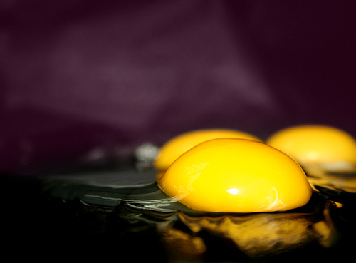 All rights reserved by Myrwin