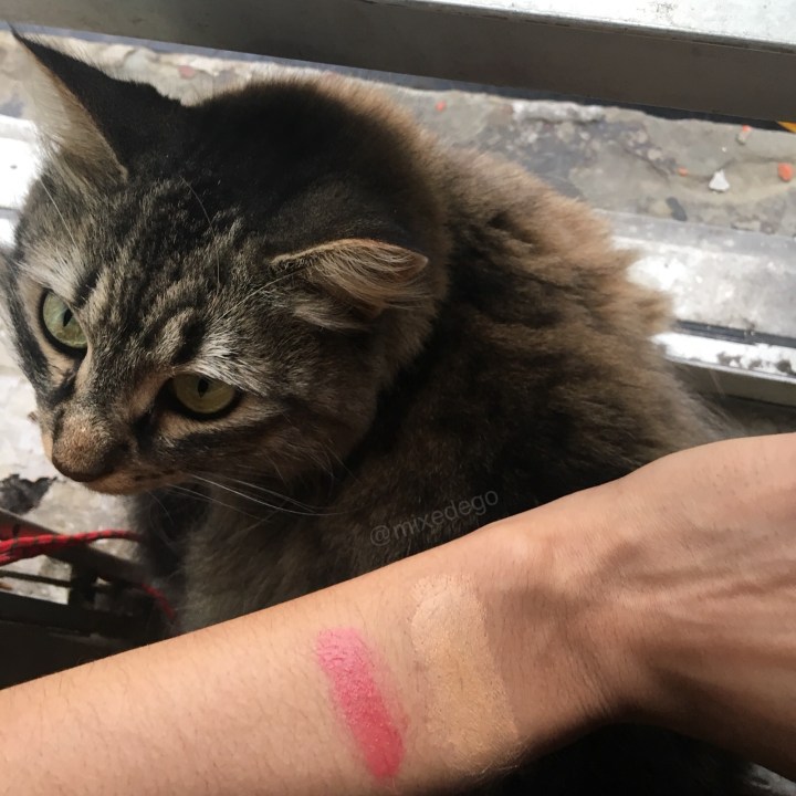 78565EAE-DA14-438B-8CED-362D332A2F55